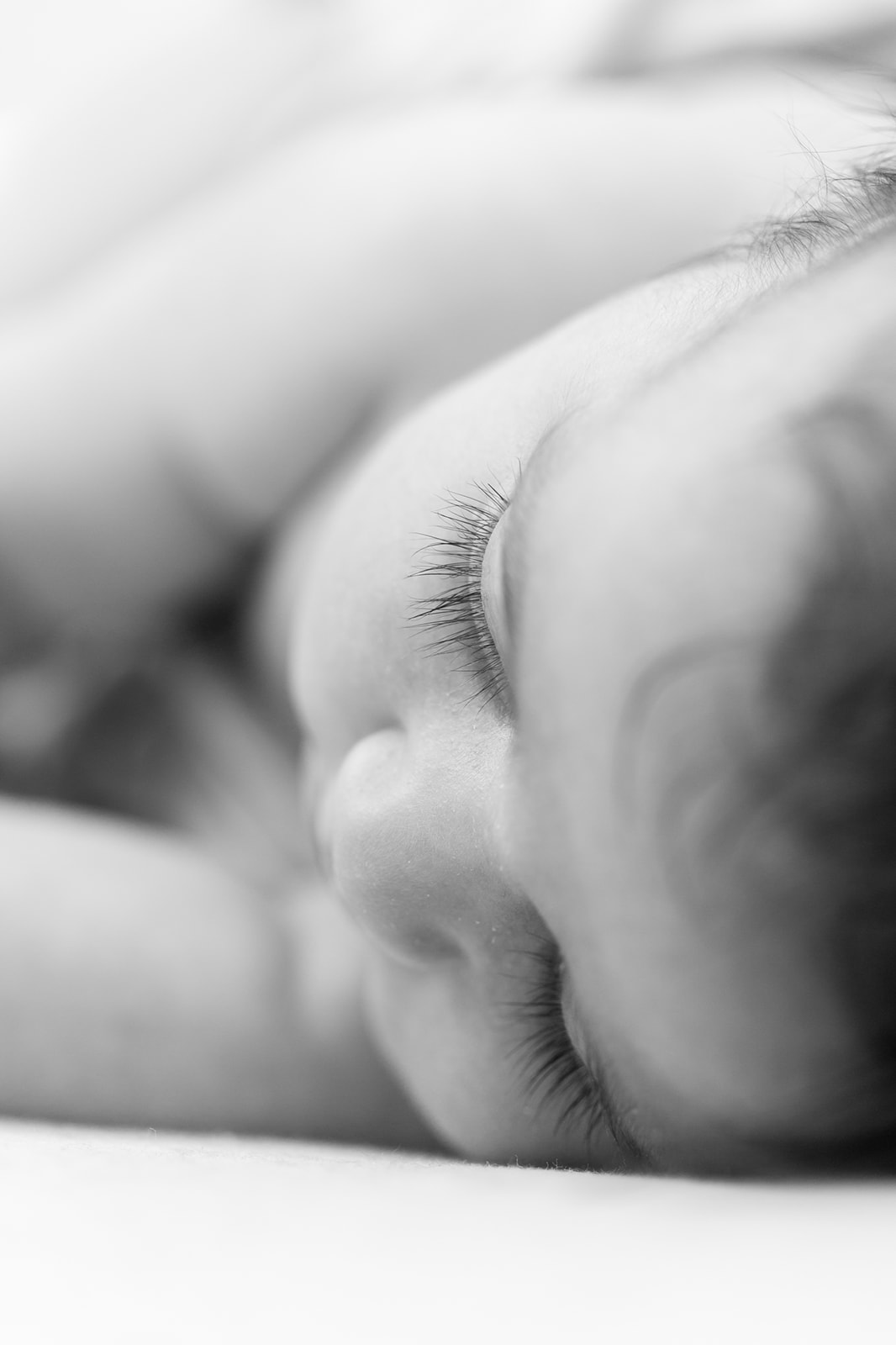 Portfolio photography